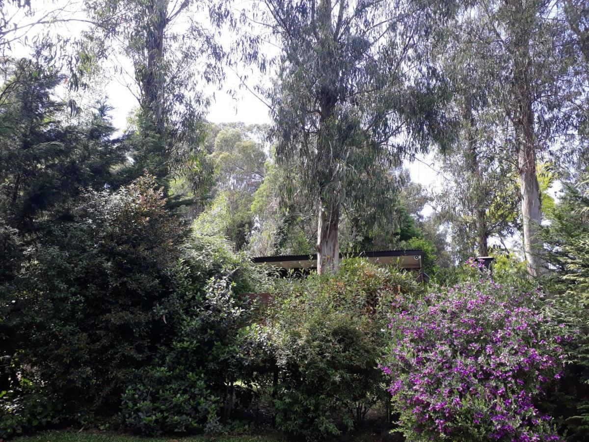 Las Cortaderas Bosque Peralta Ramos Mar del Plata Exterior photo