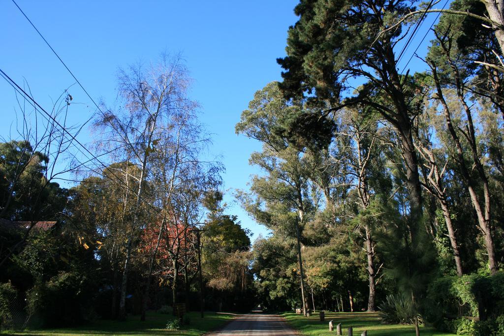 Las Cortaderas Bosque Peralta Ramos Mar del Plata Exterior photo